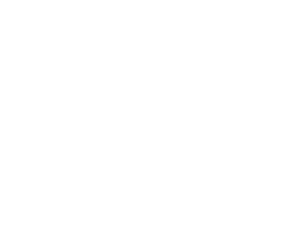 Zambia  Republic Road Lusaka  Manganese, Copper Ore  and Cathodes Sector  info.zambia@vfmgroupsa.com